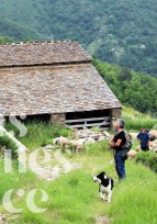 Maisons Paysannes de France vous souhaite une belle année 2019 !